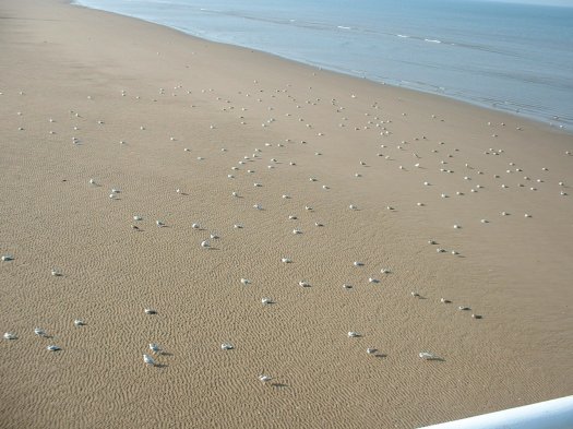 blackpool-sept-10-19